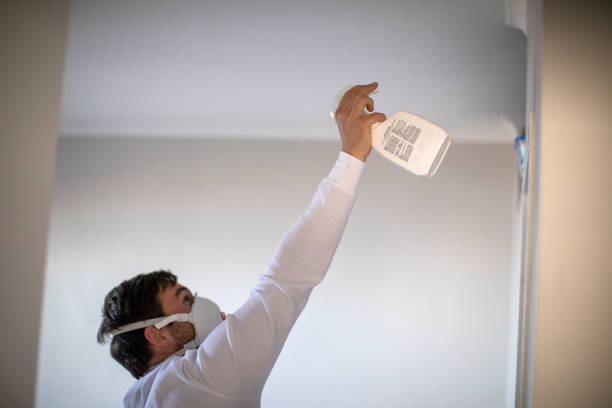 Best Health and Safety Mold Remediation in Wallace, FL