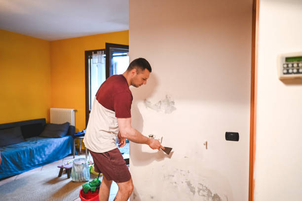 Best DIY Mold Remediation Support Services in Wallace, FL